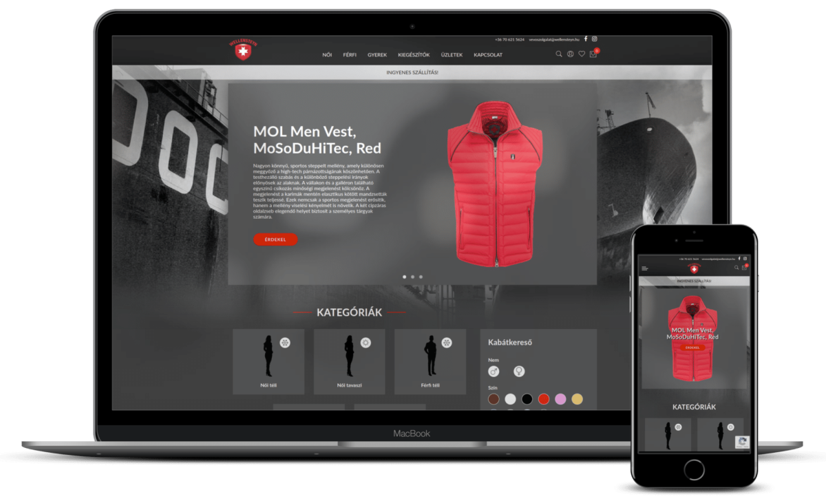 ecommsolvers_wellensteyn_desktop-mobile_mockup